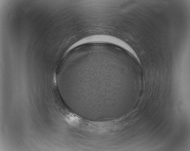 X0000058770041200509301055