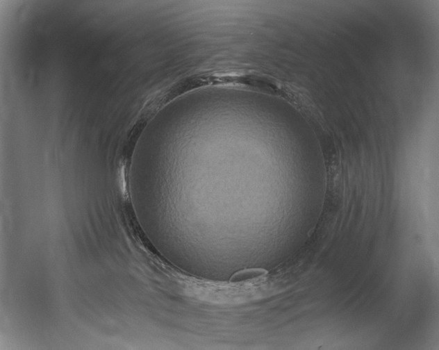 X0000058770042200509301055