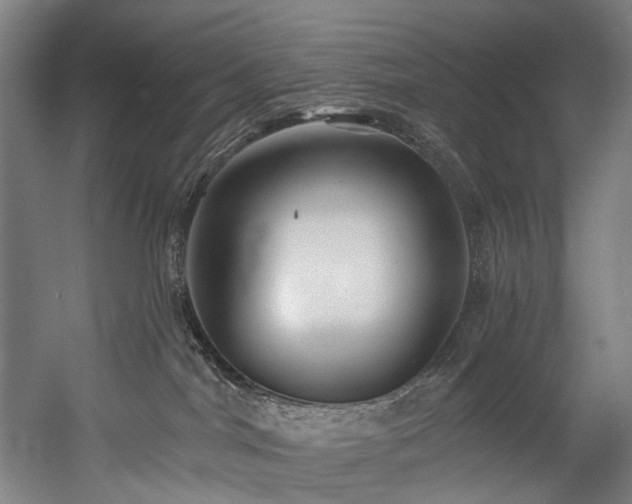 X0000058770044200509301055