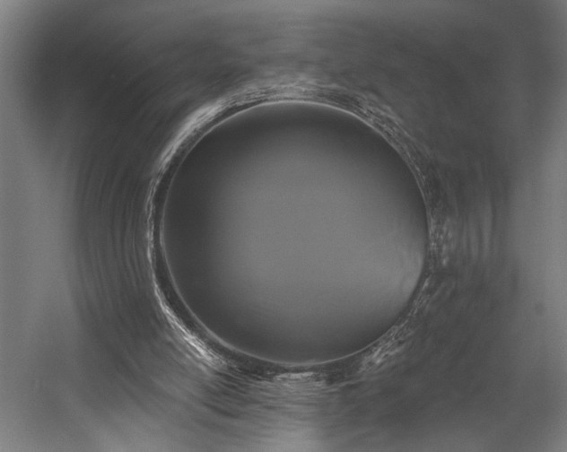 X0000058770054200509301054