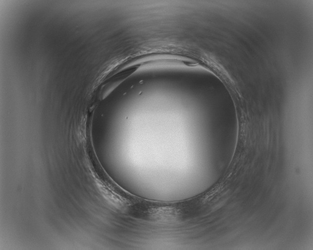X0000058770058200509301055