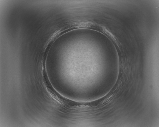 X0000058770059200509301055