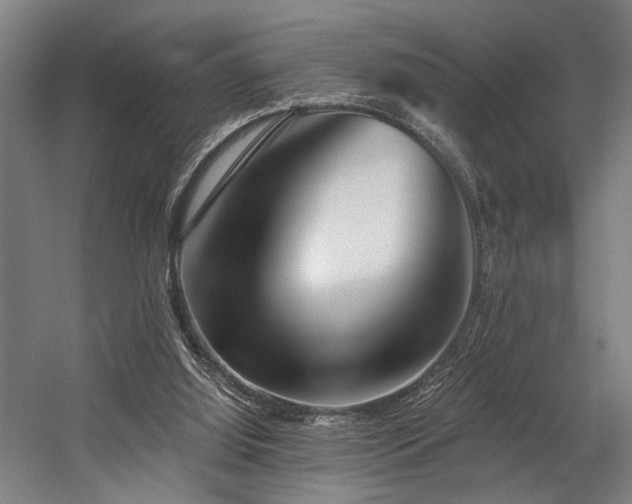 X0000058770060200509301055