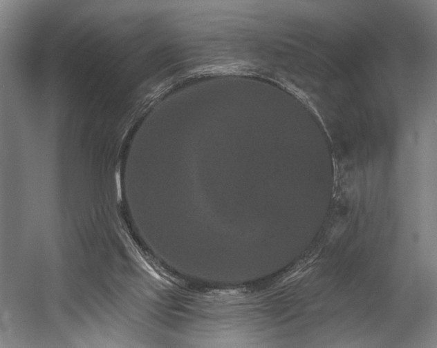 X0000058770061200509301055