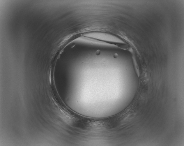 X0000058770062200509301055
