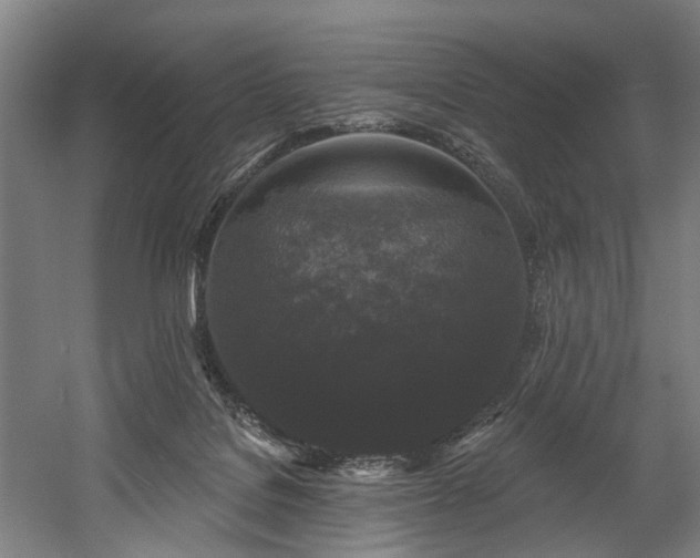 X0000058770076200509301055