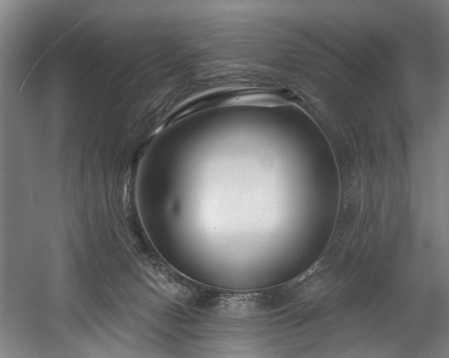 X0000058770078200509301055
