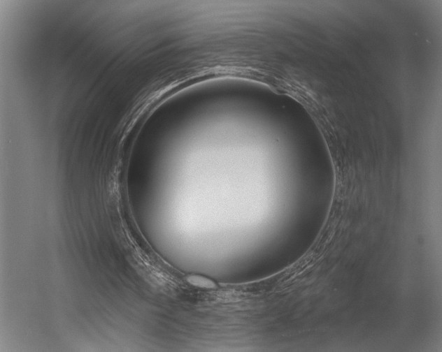X0000058770098200509301054