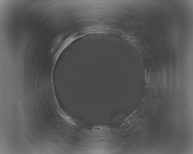 X0000058770099200509301054