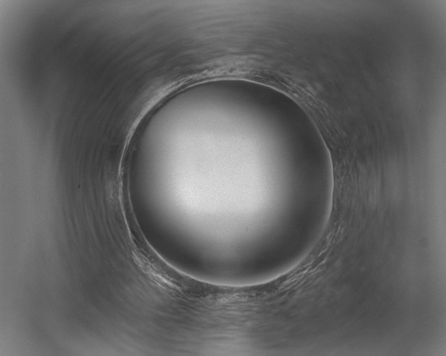 X0000058770100200509301054