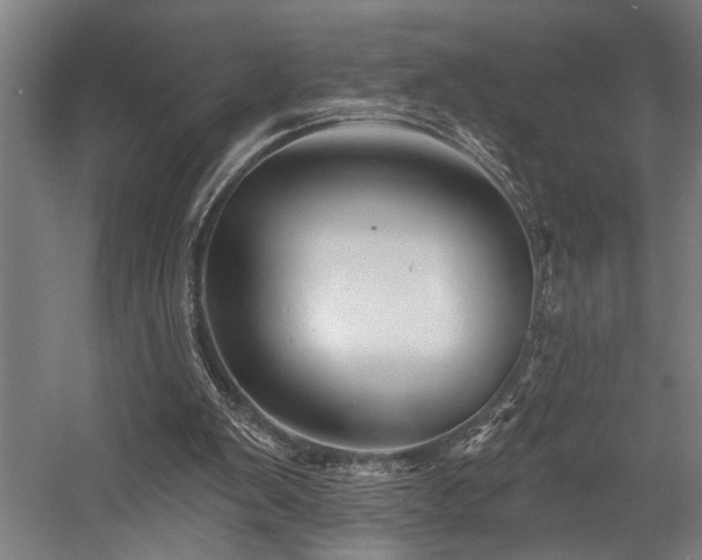 X0000058770103200509301054