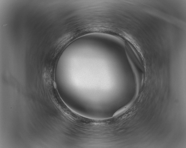 X0000058770105200509301054