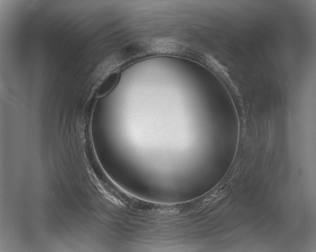 X0000058770106200509301054