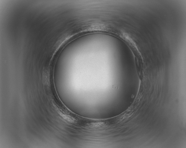 X0000058770108200509301054