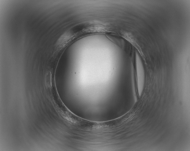 X0000058770109200509301054