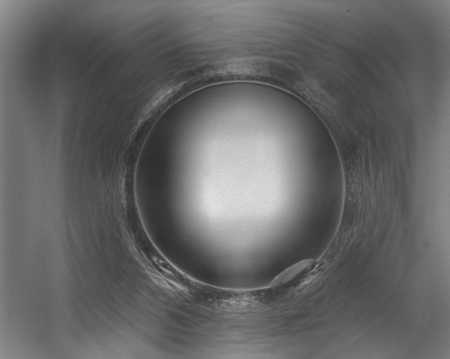 X0000058770112200509301054
