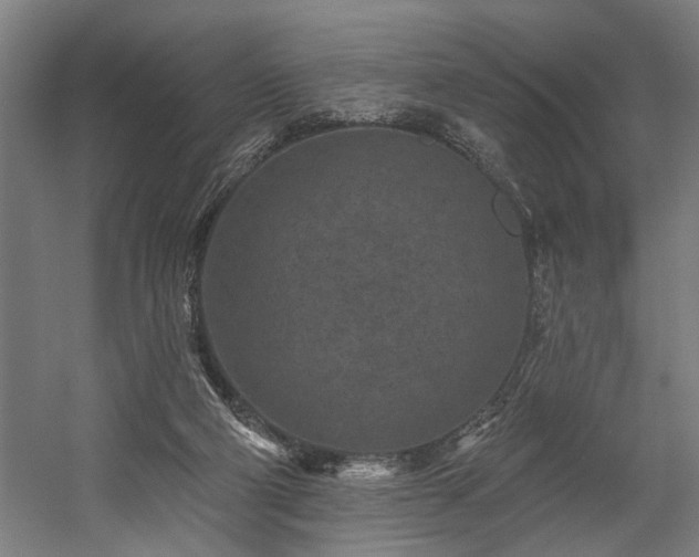 X0000058770114200509301054
