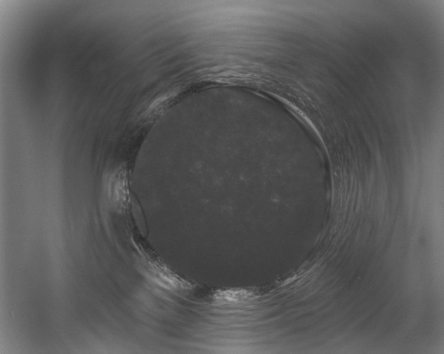 X0000058770137200509301054