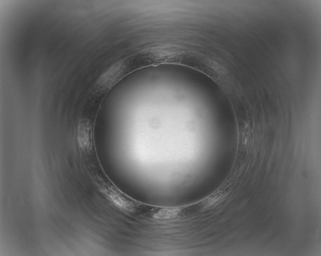 X0000058770138200509301054