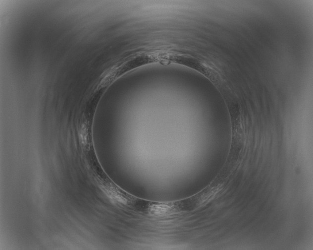 X0000058770139200509301054