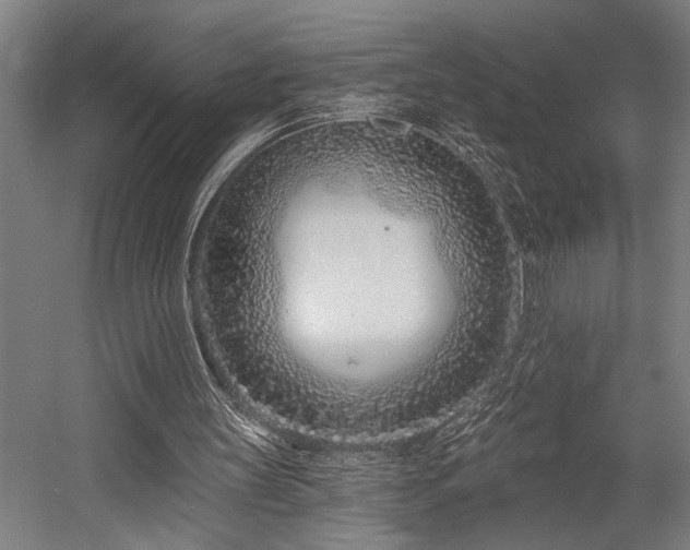 X0000058770147200509301053