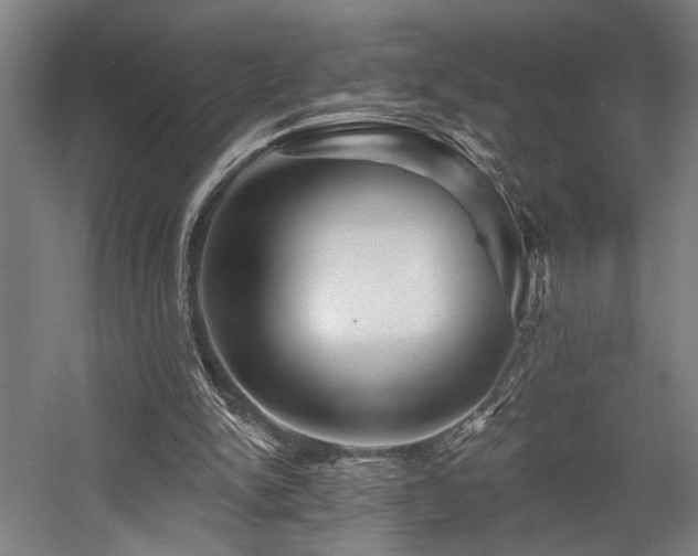 X0000058770150200509301053