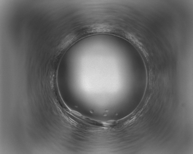 X0000058770153200509301053