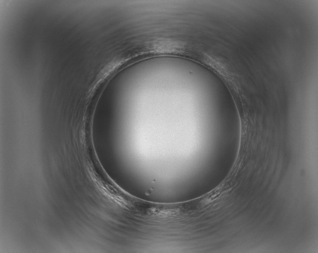 X0000058770155200509301053