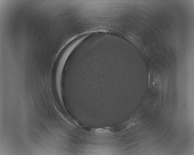 X0000058770156200509301053