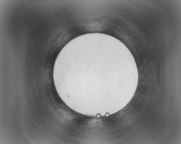 X0000058770162200509301053