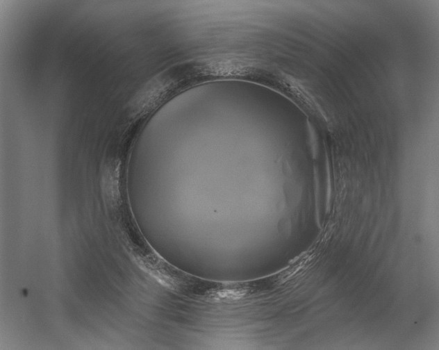 X0000058770163200509301053