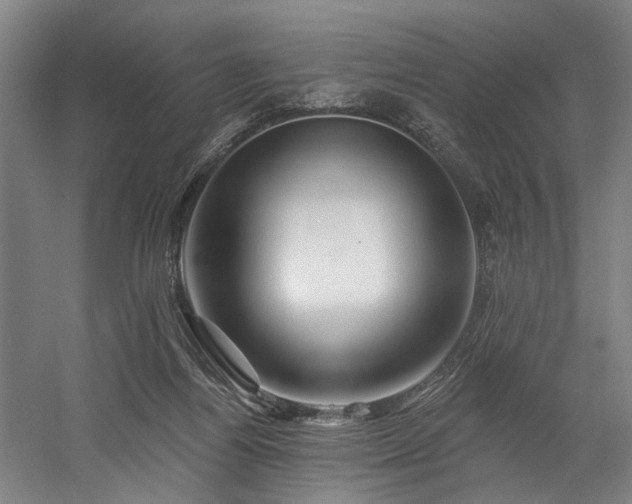X0000058770164200509301053