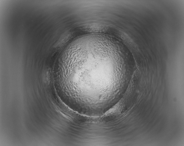X0000058770165200509301053