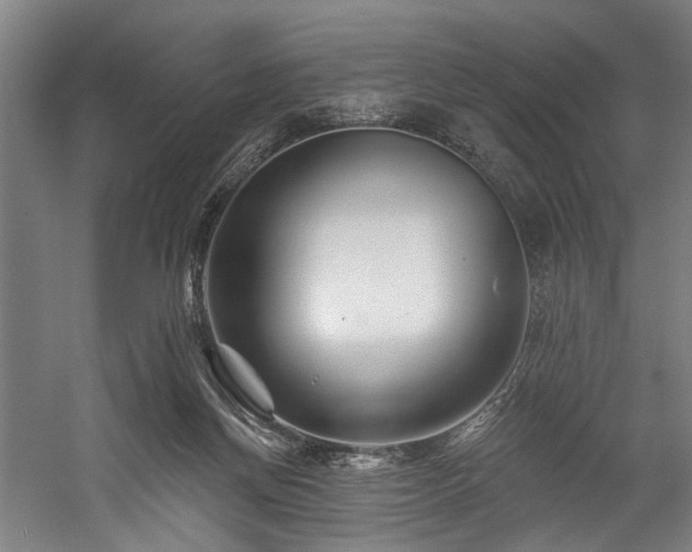 X0000058770166200509301053