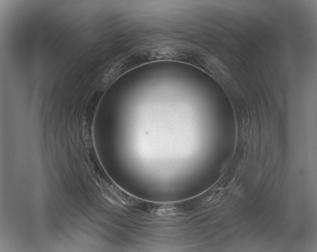 X0000058770173200509301053