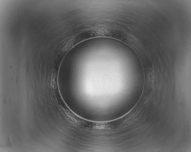 X0000058770177200509301053
