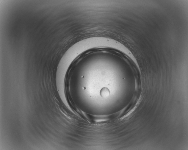 X0000058770186200509301053