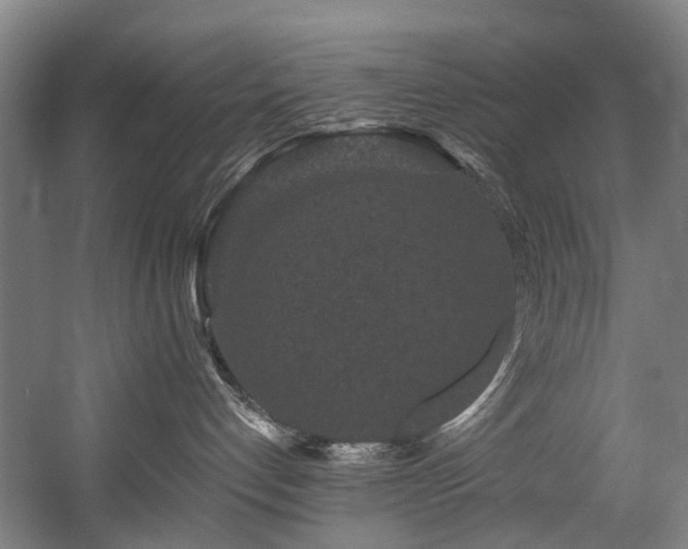 X0000058770192200509301054