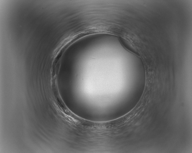 X0000058770194200509301053