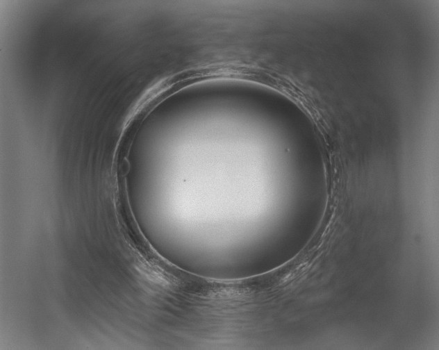 X0000058770198200509301053