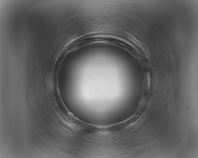 X0000058770203200509301053