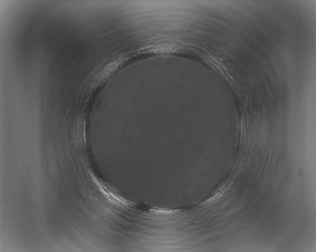 X0000058770205200509301053