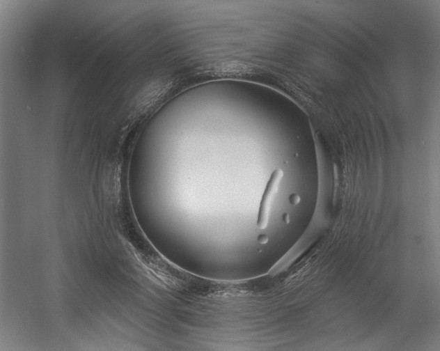 X0000058770206200509301053