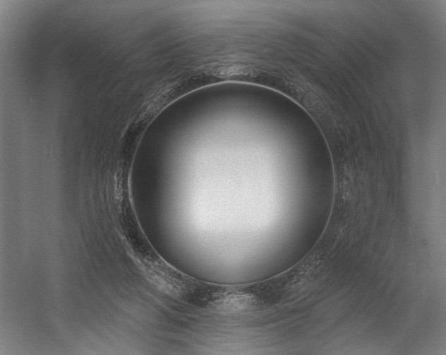 X0000058770210200509301052