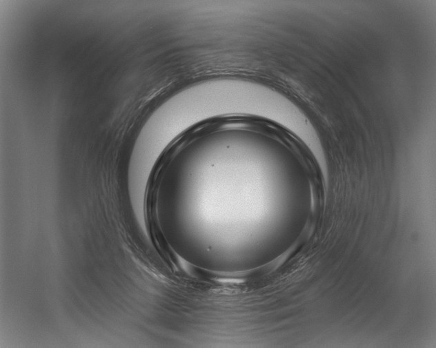 X0000058770211200509301052