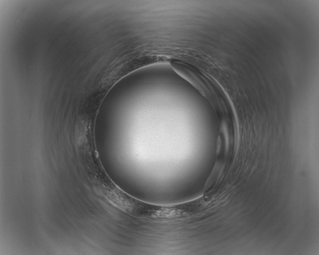 X0000058770225200509301052