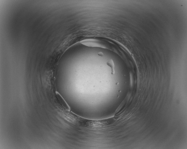 X0000058770229200509301052