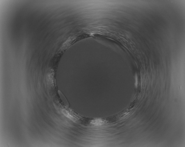X0000058770231200509301052