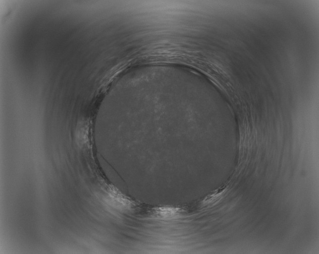 X0000058770233200509301052