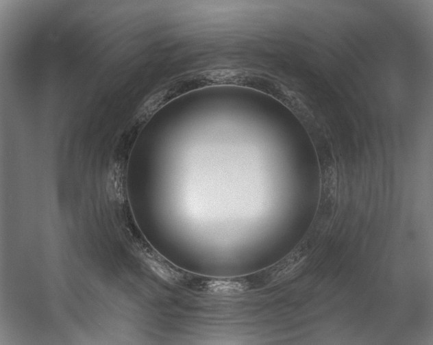 X0000058770234200509301052